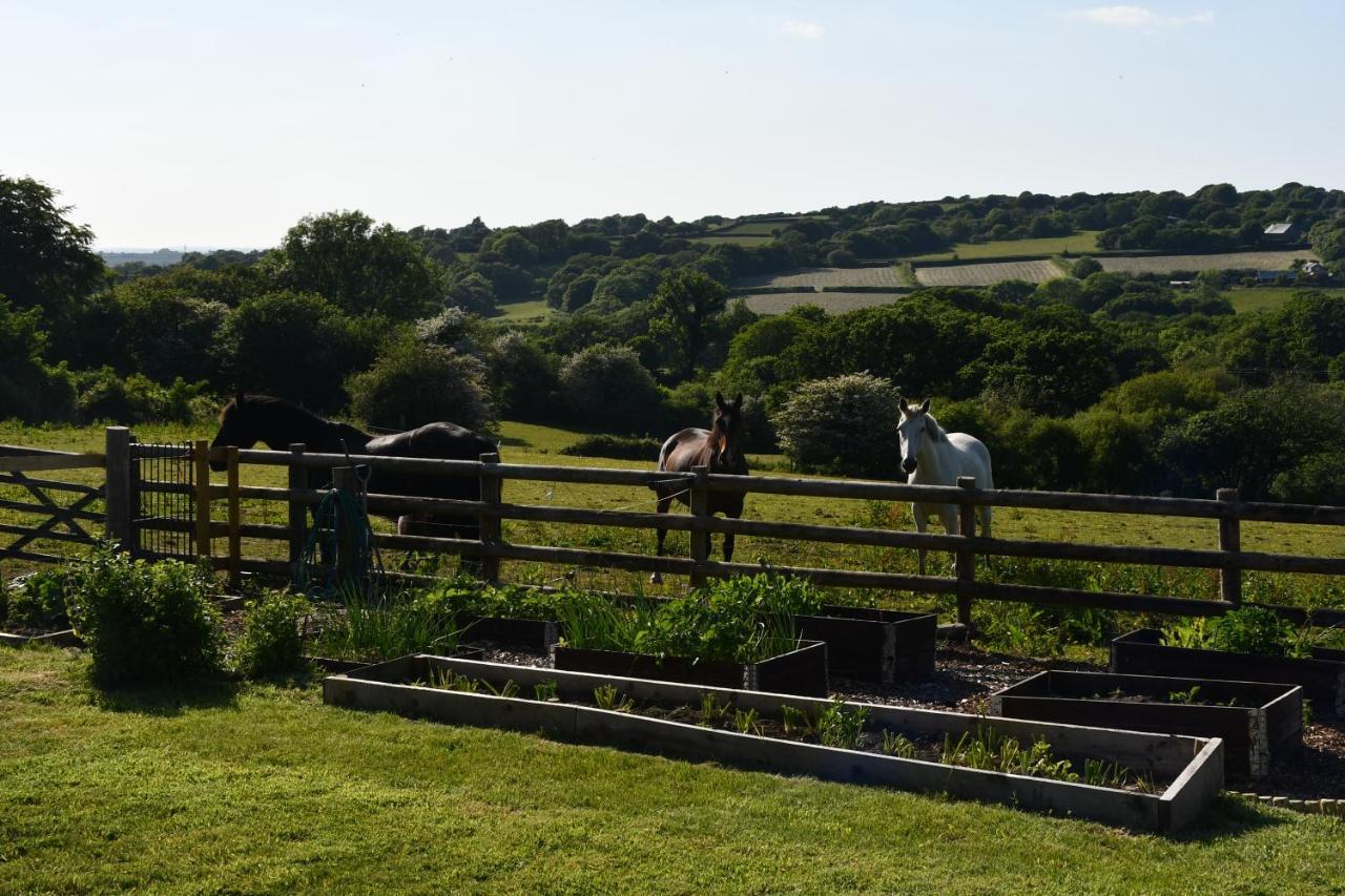 Moorland Breeze Βίλα Bodmin Εξωτερικό φωτογραφία